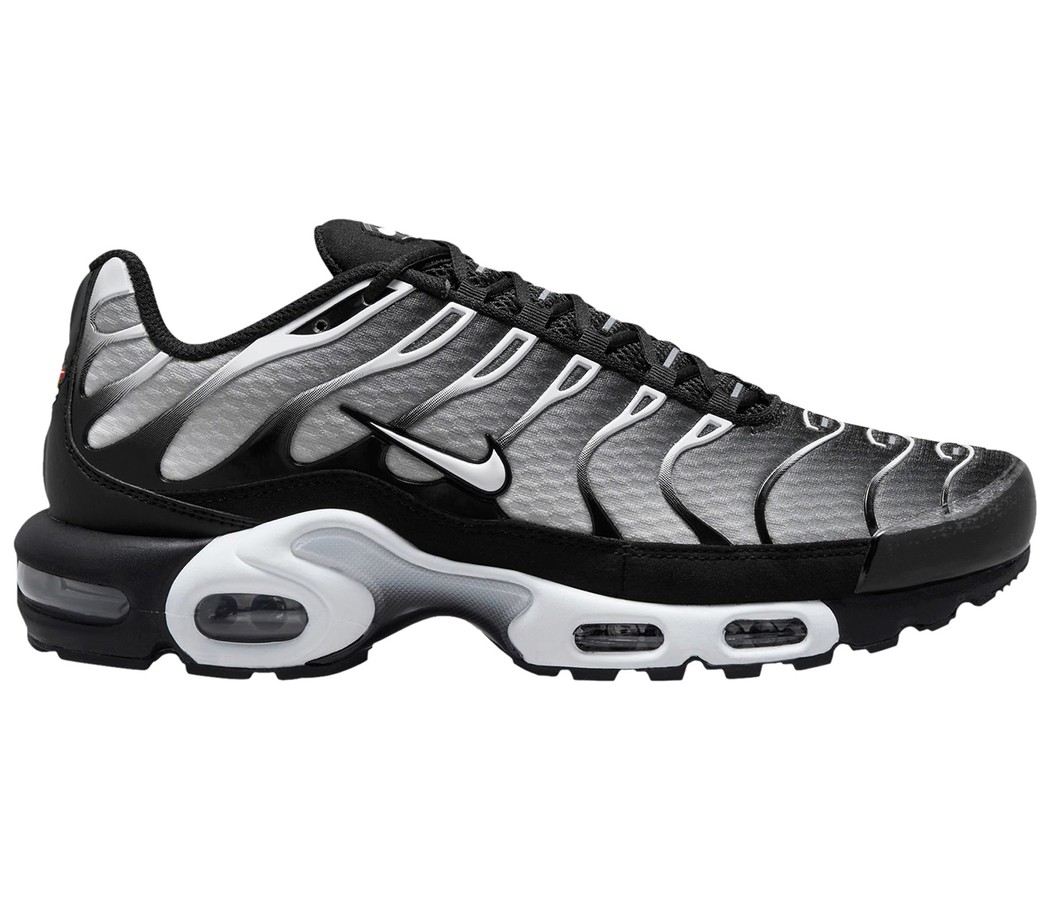 Nike Air Max Plus Black Silver White